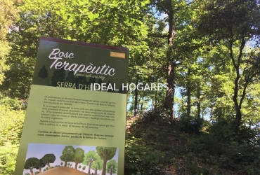 Negocio-Hotel-**HOTEL FOR SALE IN SANT HILARI SACALM ( 9