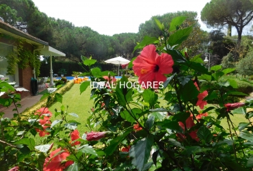 Vivienda-Casa-Casa en Sant Andreu de Llavaneres. QUE N 11