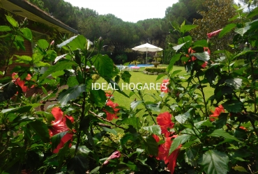 Vivienda-Casa-Casa en Sant Andreu de Llavaneres. QUE N 12