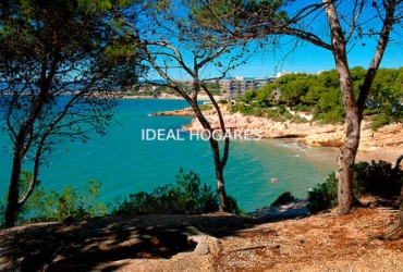 Local comercial-Local comercial-ALQUILER DE LOCAL EN ZONA TURÍSTICA PREM 4