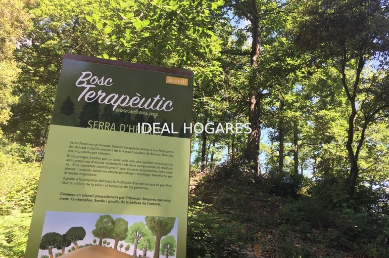 Negocio-Hotel-**HOTEL FOR SALE IN SANT HILARI SACALM ( 9