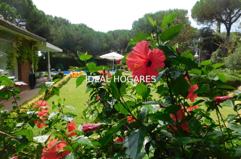 Vivienda-Casa-Casa en Sant Andreu de Llavaneres. QUE N 11