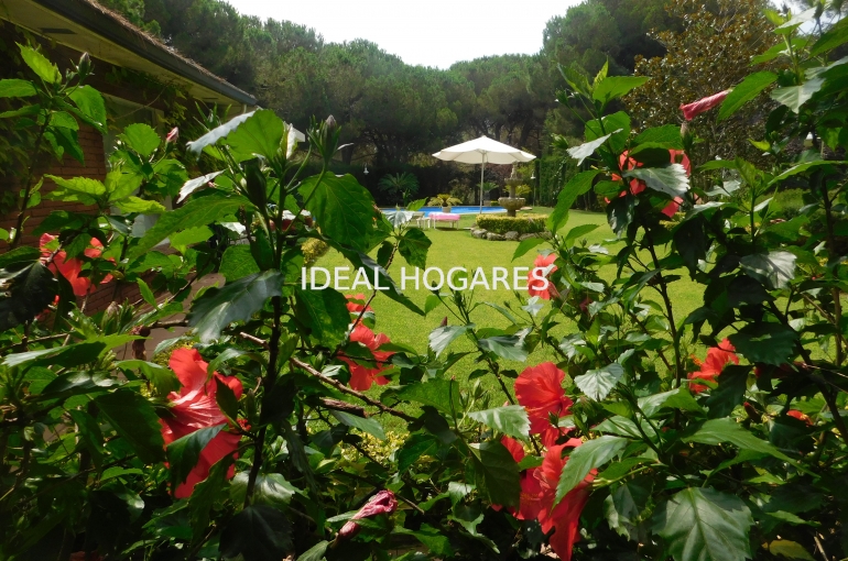 Vivienda-Casa-Casa en Sant Andreu de Llavaneres. QUE N 12