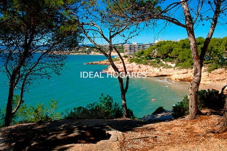 Local comercial-Local comercial-ALQUILER DE LOCAL EN ZONA TURÍSTICA PREM 4