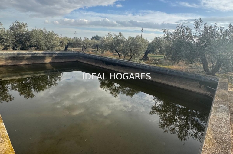 Vivienda-Casa-CHALET 6 HABITACIONES DUPLEX-TORTOSA JES 38