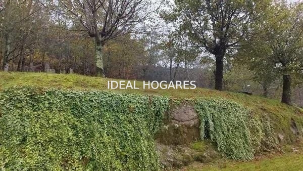 Vivienda-Casa-CHALET EXCLUSIVO EN ENTORNO NATURAL, SOL 26